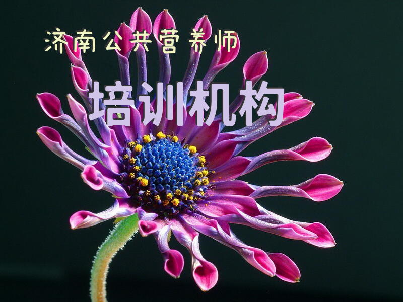 济南公共营养师培训机构