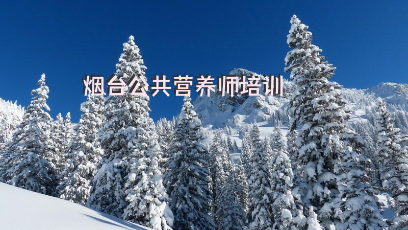 烟台公共营养师培训