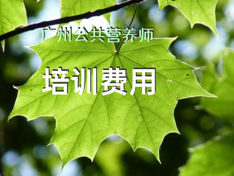 广州公共营养师培训费用