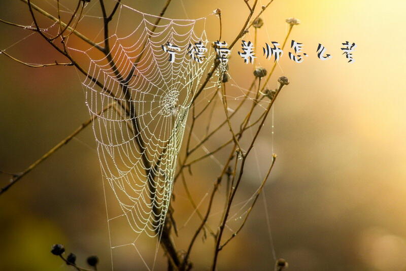 宁德营养师怎么考