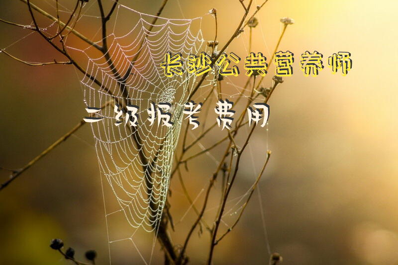 长沙公共营养师二级报考费用