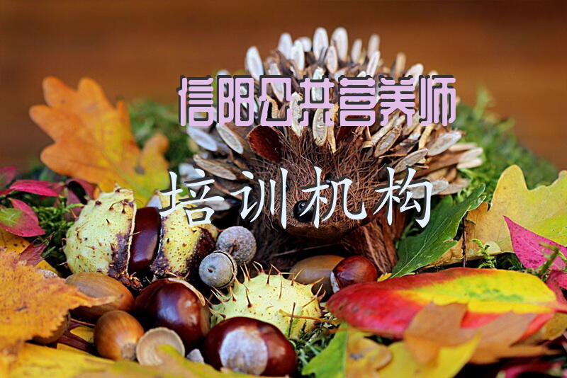 信阳公共营养师报考