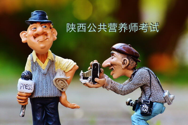 陕西公共营养师考试