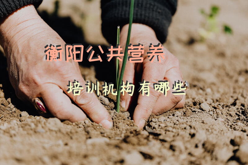 东莞中大公共营养师培训学校