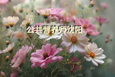 公共营养师沈阳