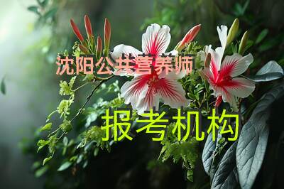 沈阳公共营养师报考机构