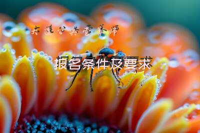 大连公共营养师报名条件及要求