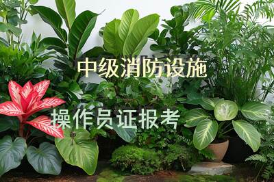 中级消防设施操作员证报考