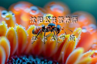 沈阳公共营养师证书在哪领