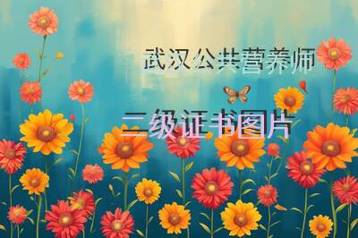武汉公共营养师二级证书图片