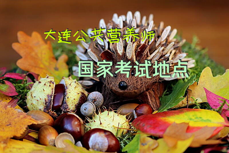 大连公共营养师国家考试地点