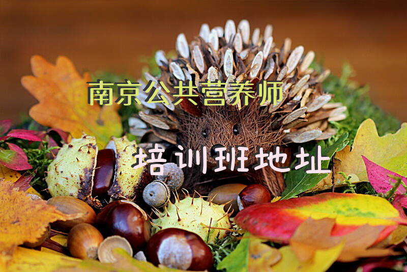南京公共营养师培训班地址