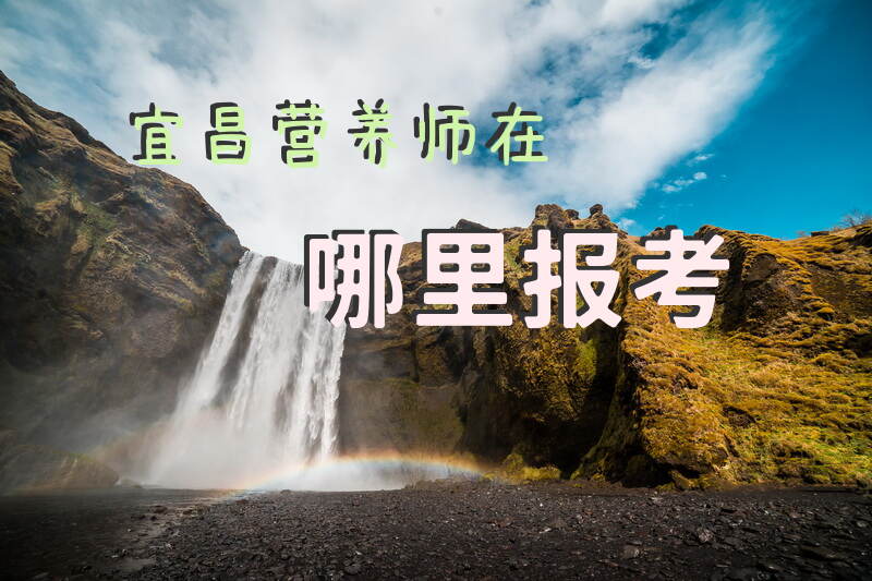 宜昌营养师在哪里报考