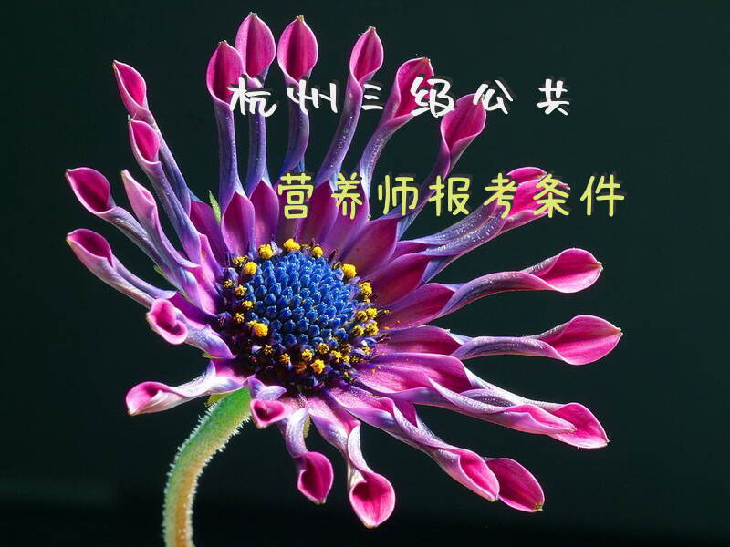 杭州2025年三级公共营养师报考条件有哪些