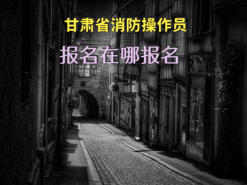 甘肃省2025年消防操作员考试报名流程是什么