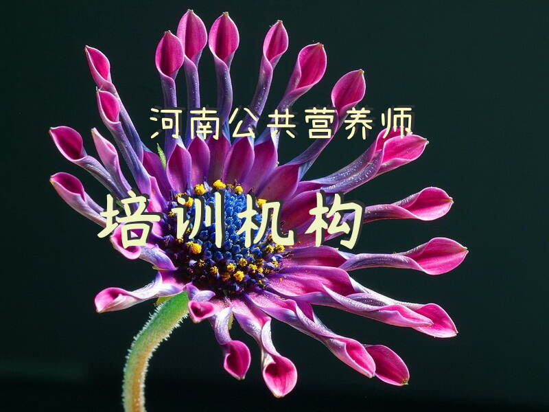 河南公共营养师培训机构