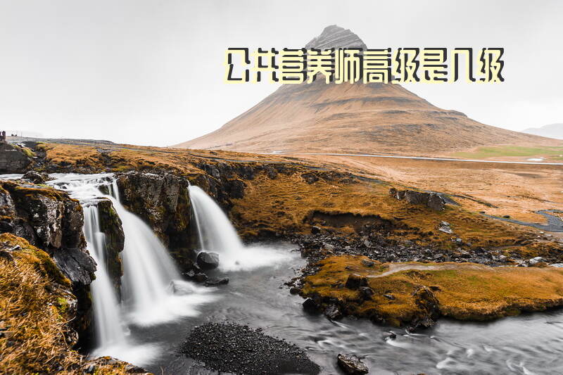 2025年东莞公共营养师培训如何报名