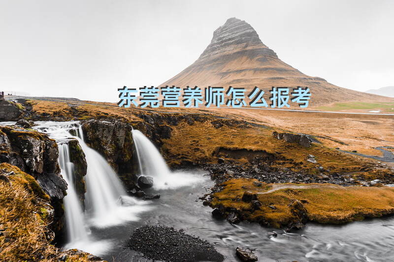 东莞如何报考营养师及其培训机构