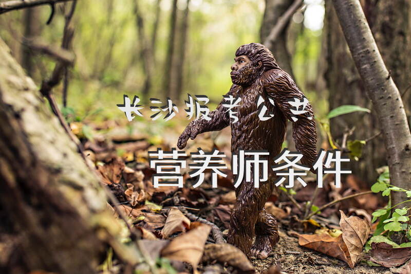 长沙报考公共营养师需要哪些条件