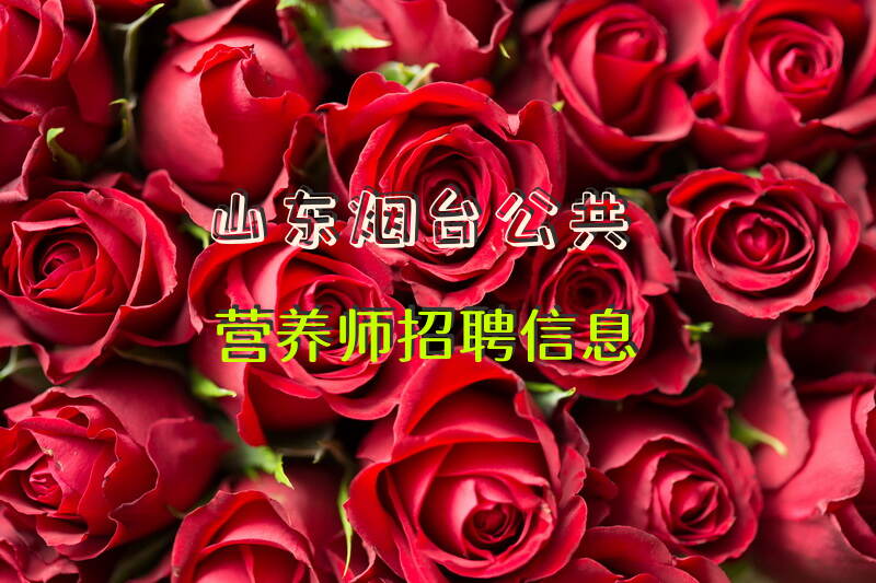 2025年山东烟台公共营养师招聘有哪些机会
