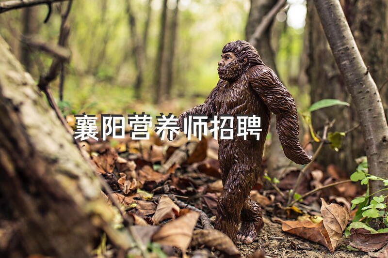 在武汉成为公共营养师的费用是多少