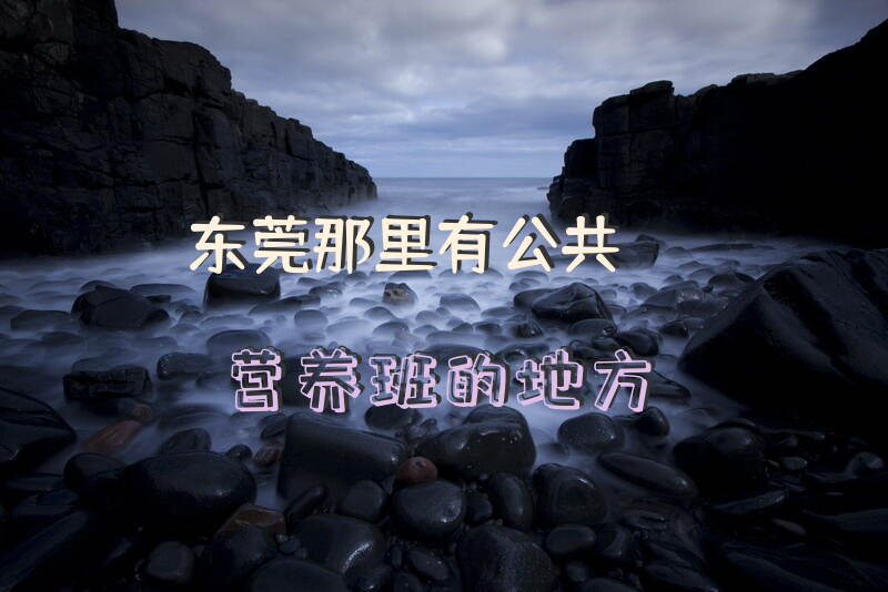 东莞哪里可以报考公共营养师课程
