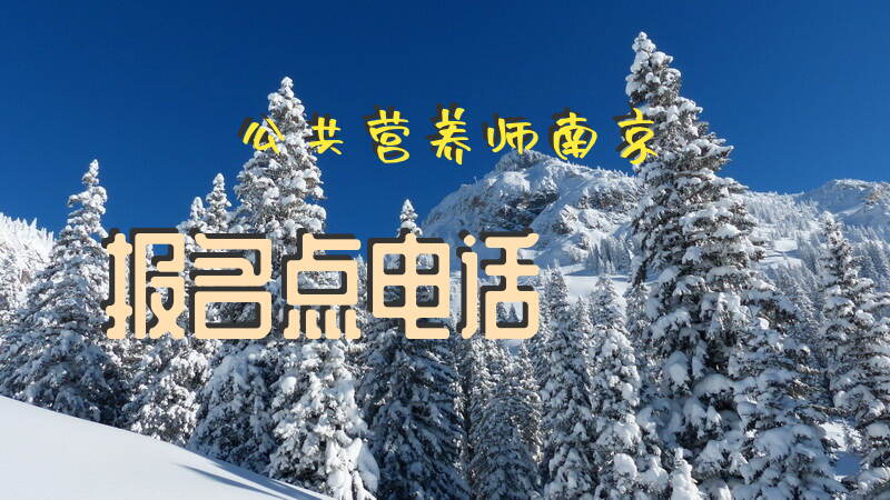 2025年南京公共营养师报考时间是什么