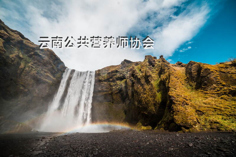 2025年云南公共营养师考试如何报名和准备