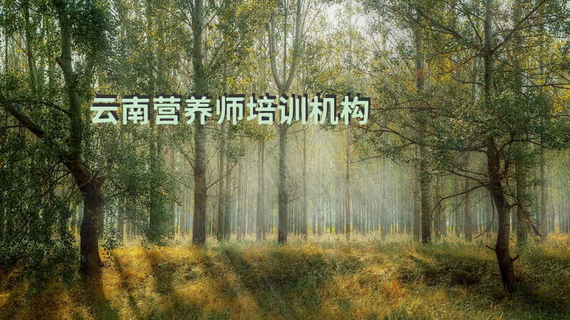 云南有哪些正规营养师培训机构