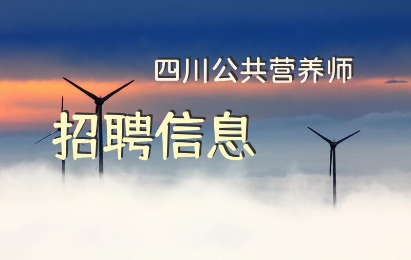 2025年四川公共营养师考试时间和安排是什么