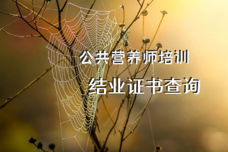 如何查询公共营养师证书在北京上海和深圳