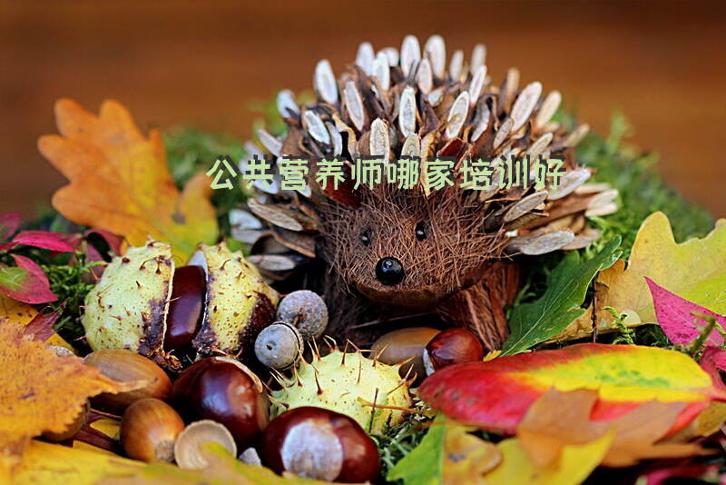 郑州上街区公共营养师培训机构哪家好