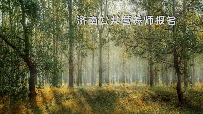 济南市2025年公共营养师考试报名需要什么条件和步骤