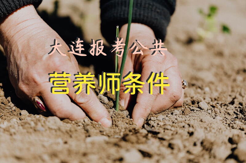 如何在大连报考公共营养师及其条件