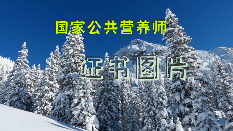 1995年国家公共营养师证书对甘肃和河北的营养改善有何作用